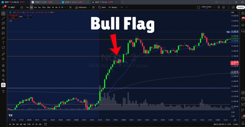 Bull Flag